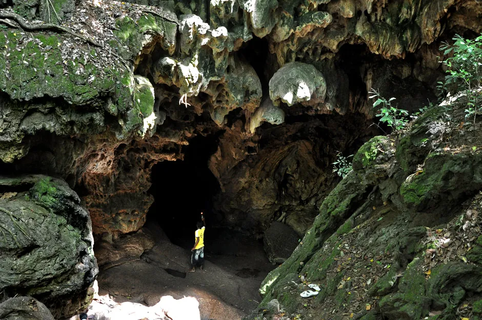 Natural Bat's Cave