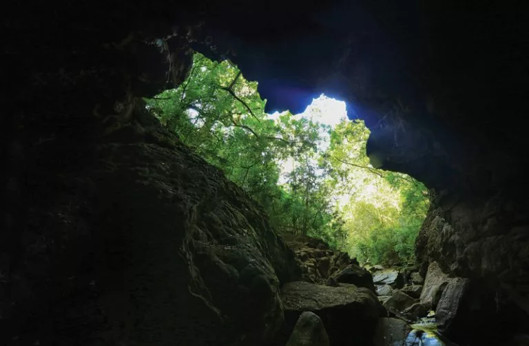 Natural Bat's Cave